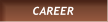CAREER CAREER
